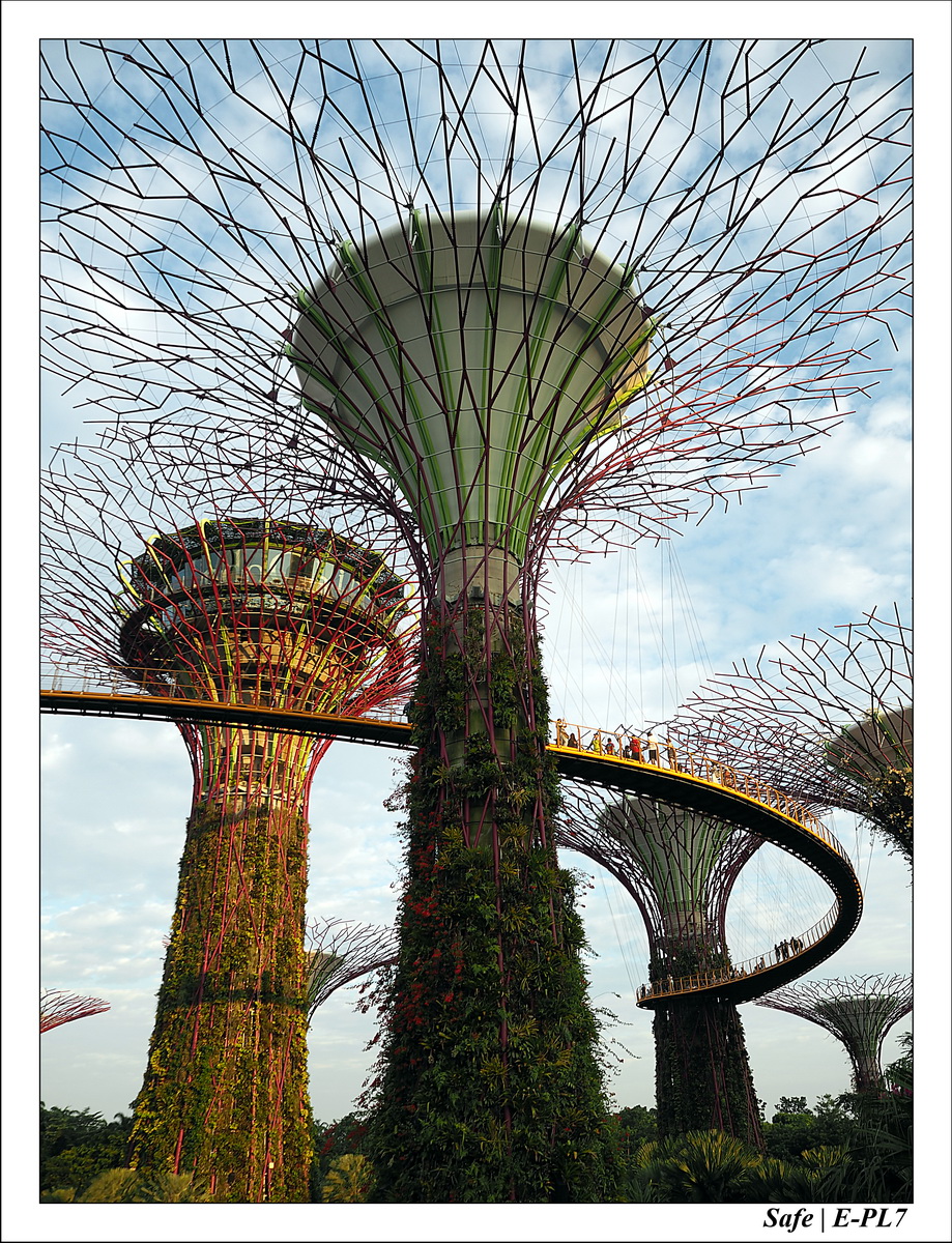 2016 - 07 - Singapour - 38